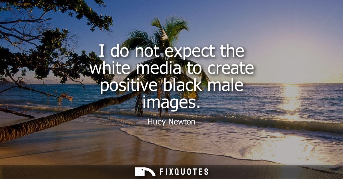I do not expect the white media to create positive black male images