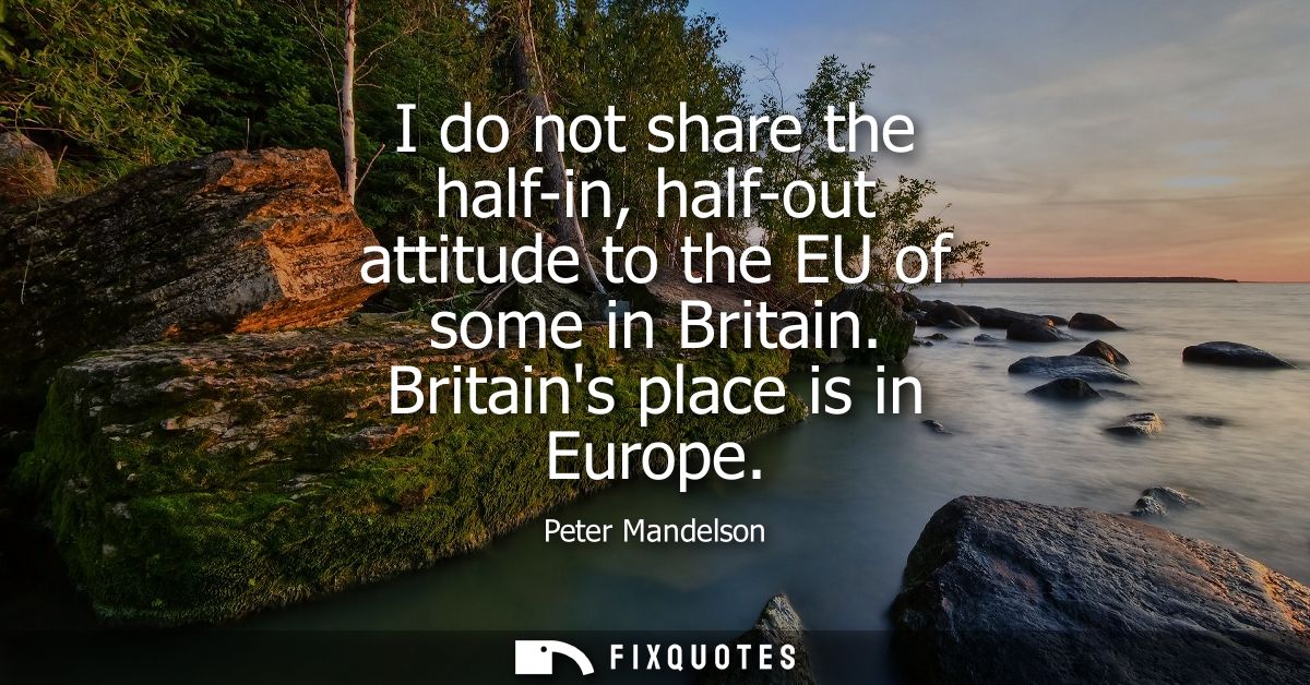 I do not share the half-in, half-out attitude to the EU of some in Britain. Britains place is in Europe