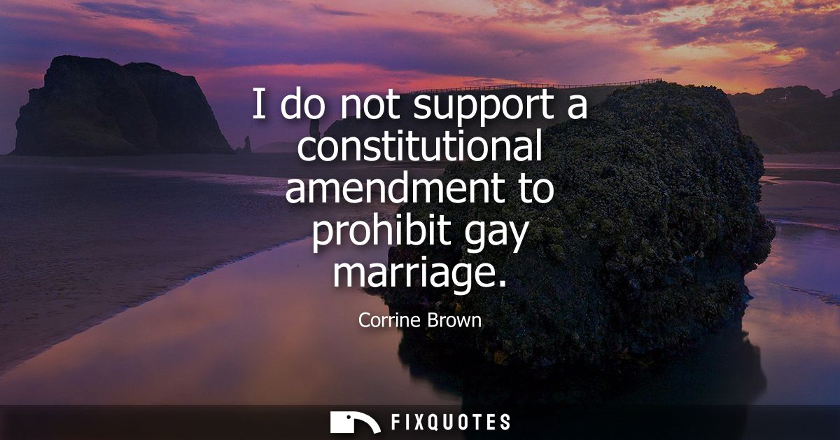I do not support a constitutional amendment to prohibit gay marriage