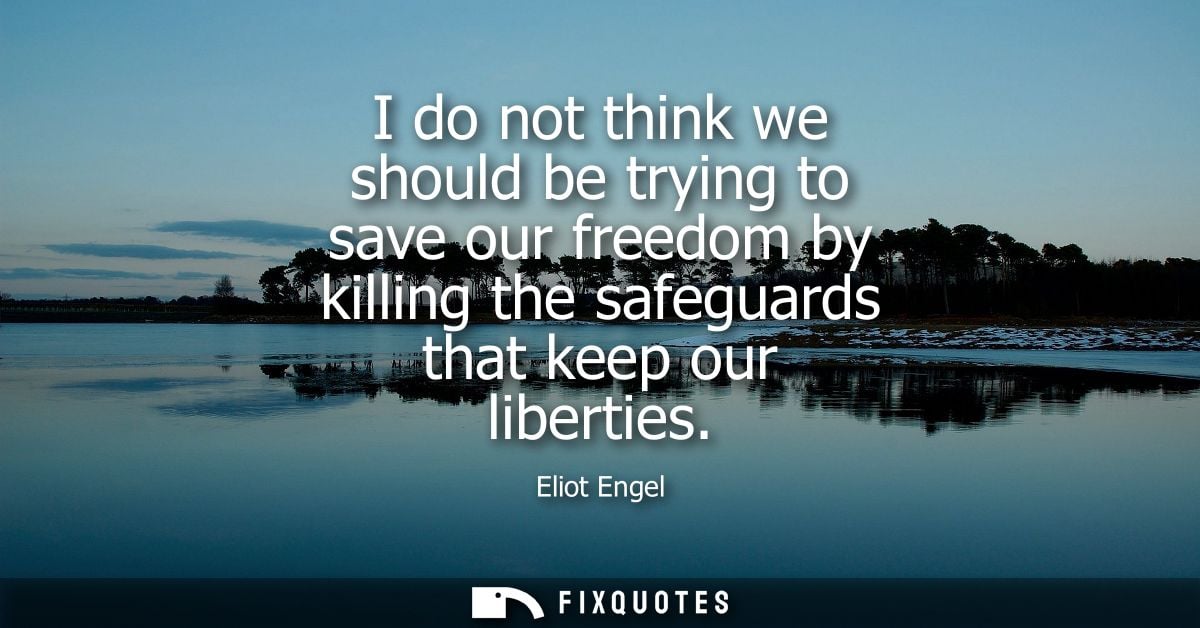 I do not think we should be trying to save our freedom by killing the safeguards that keep our liberties