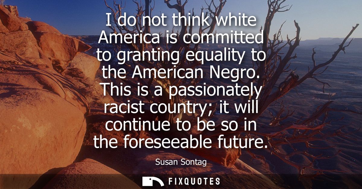 I do not think white America is committed to granting equality to the American Negro. This is a passionately racist coun