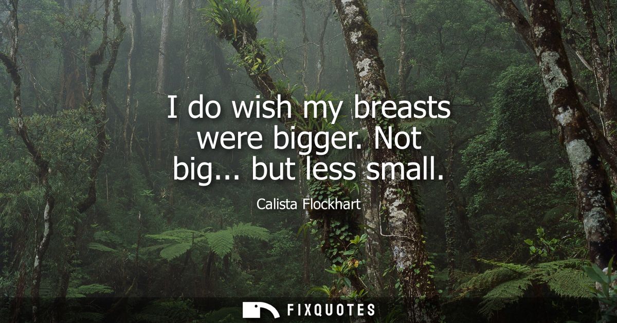 I do wish my breasts were bigger. Not big... but less small