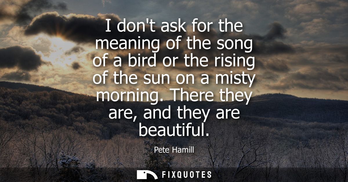 I dont ask for the meaning of the song of a bird or the rising of the sun on a misty morning. There they are, and they a