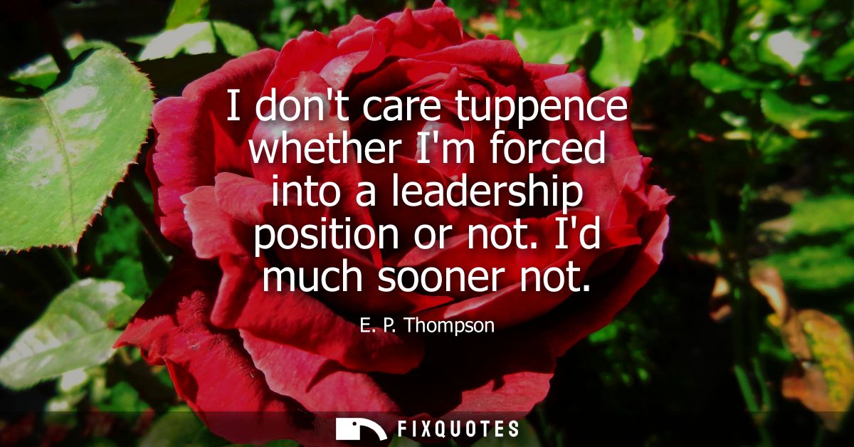 I dont care tuppence whether Im forced into a leadership position or not. Id much sooner not