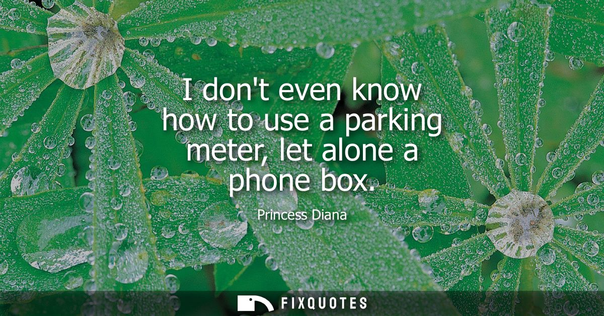 I dont even know how to use a parking meter, let alone a phone box