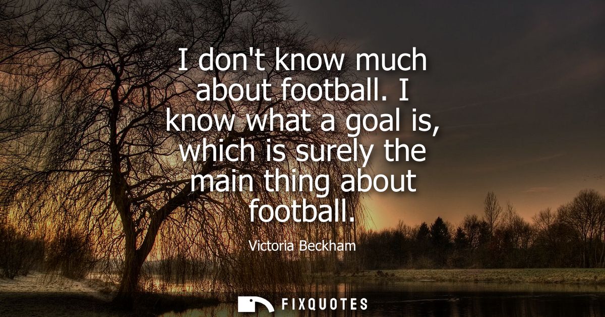 I dont know much about football. I know what a goal is, which is surely the main thing about football