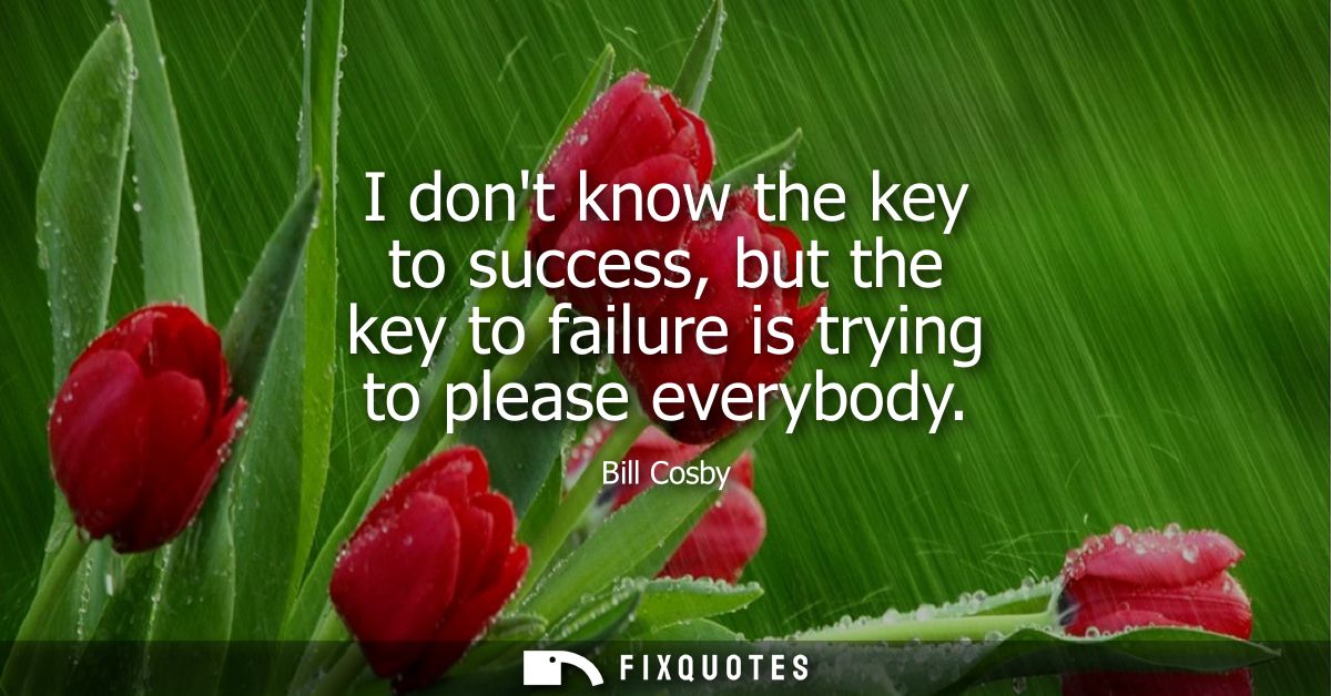 I dont know the key to success, but the key to failure is trying to please everybody