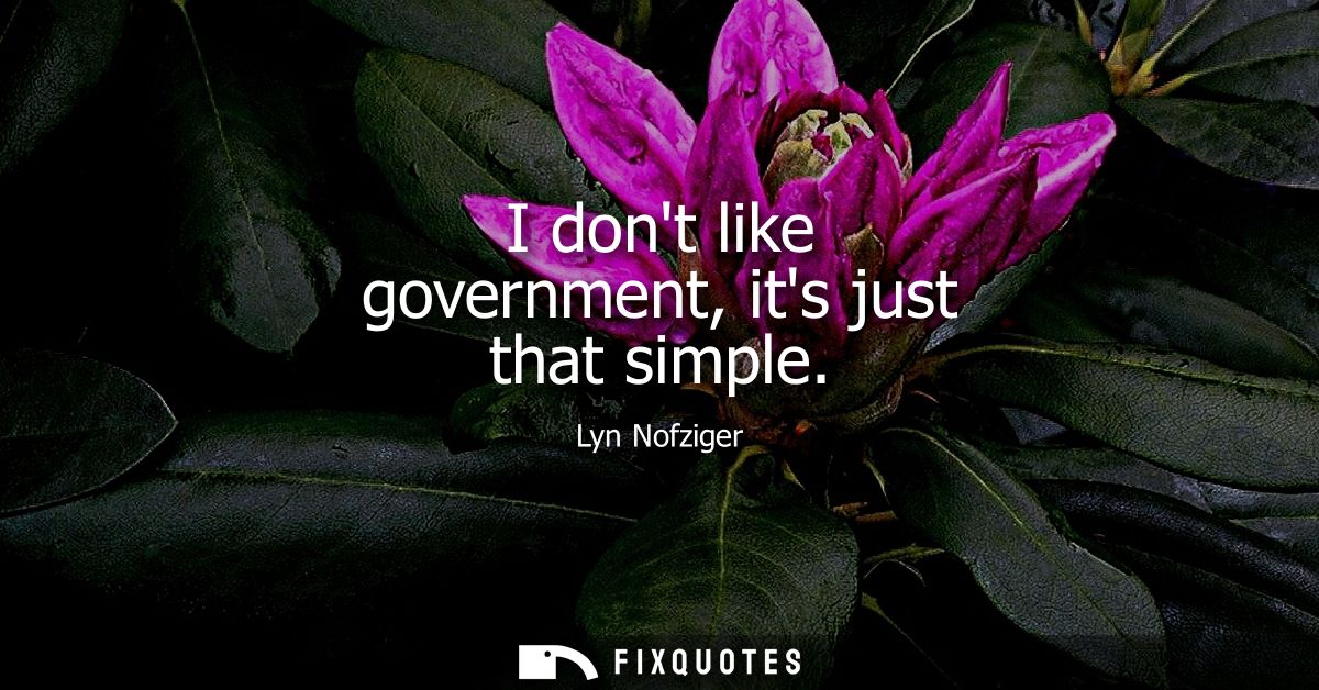 I dont like government, its just that simple
