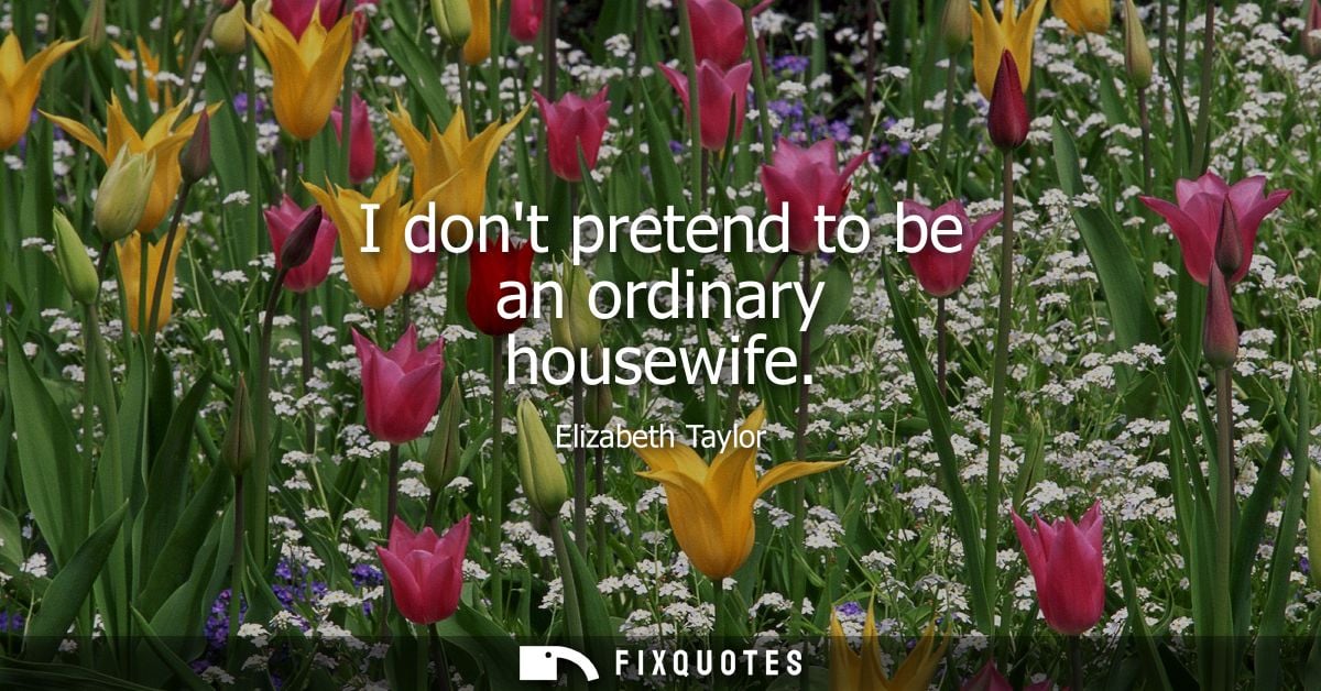 I dont pretend to be an ordinary housewife