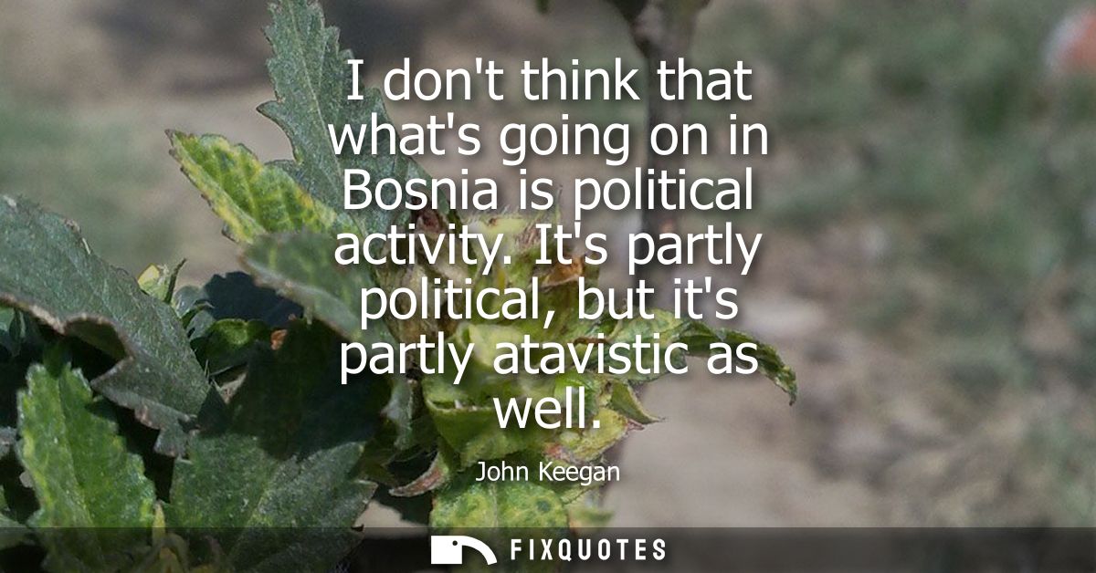 I dont think that whats going on in Bosnia is political activity. Its partly political, but its partly atavistic as well