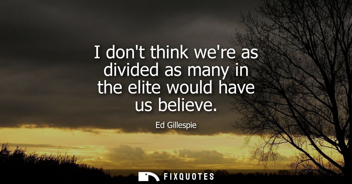I dont think were as divided as many in the elite would have us believe