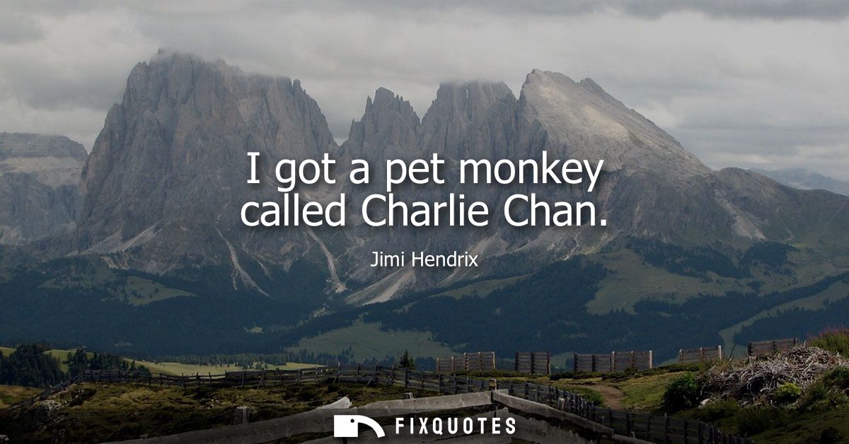 I got a pet monkey called Charlie Chan - Jimi Hendrix
