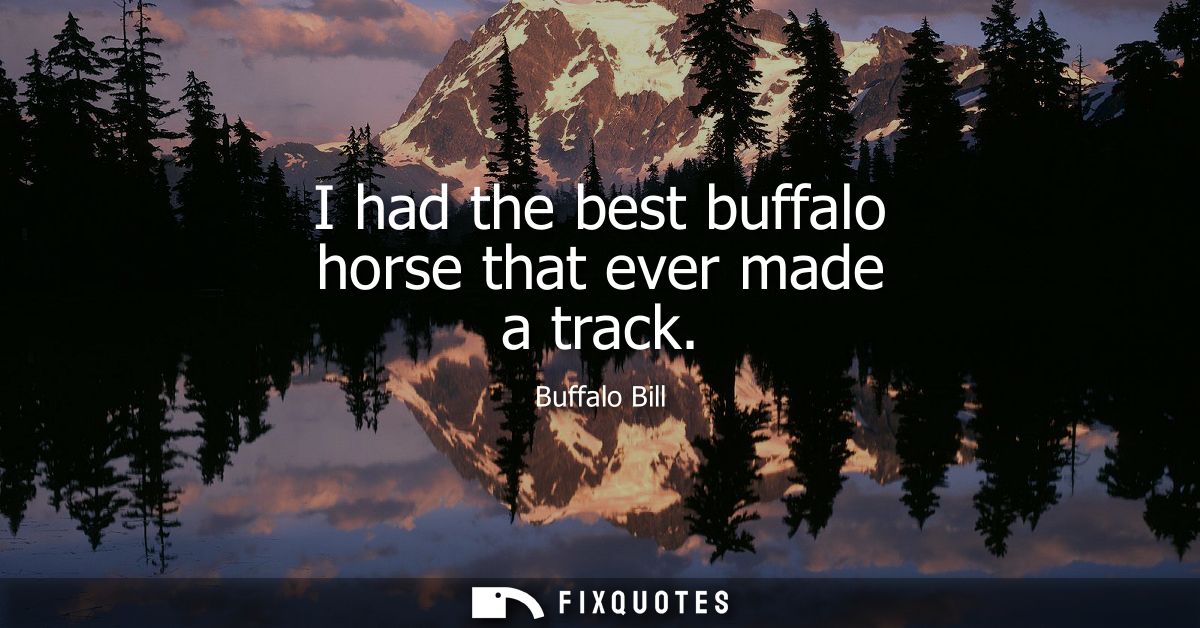 I had the best buffalo horse that ever made a track