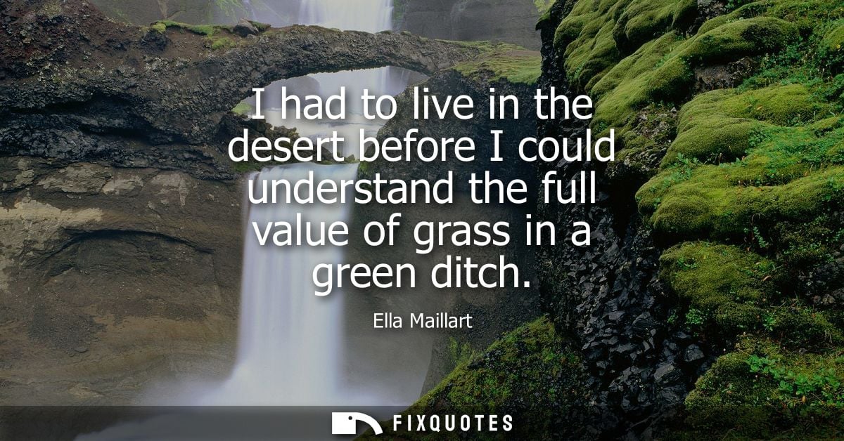 I had to live in the desert before I could understand the full value of grass in a green ditch