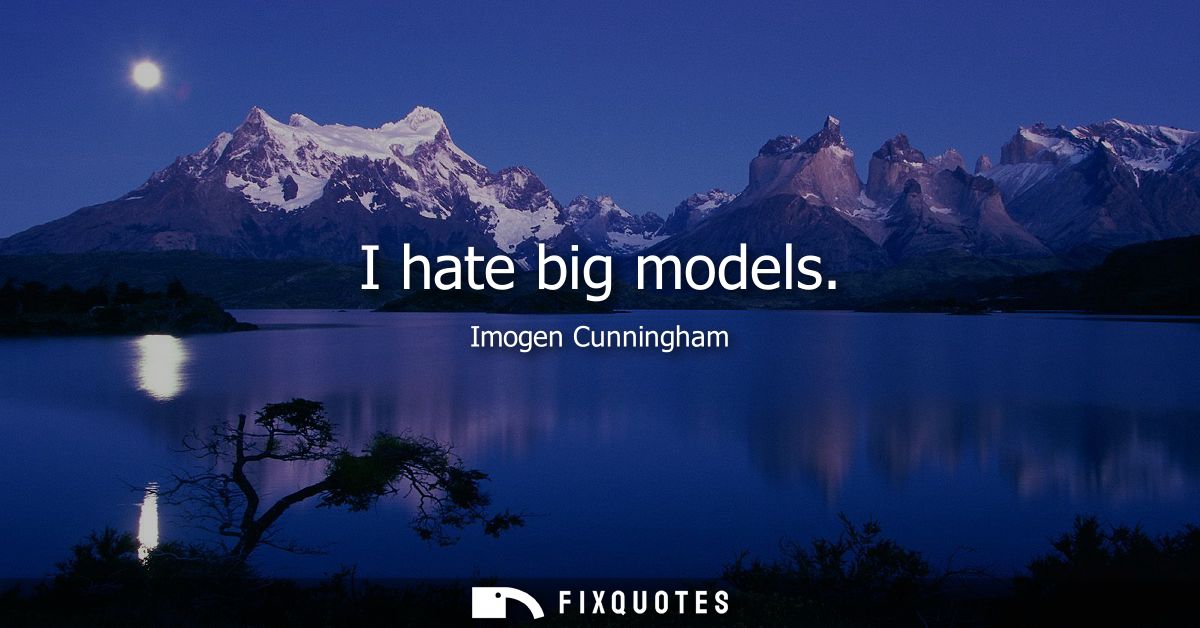 I hate big models