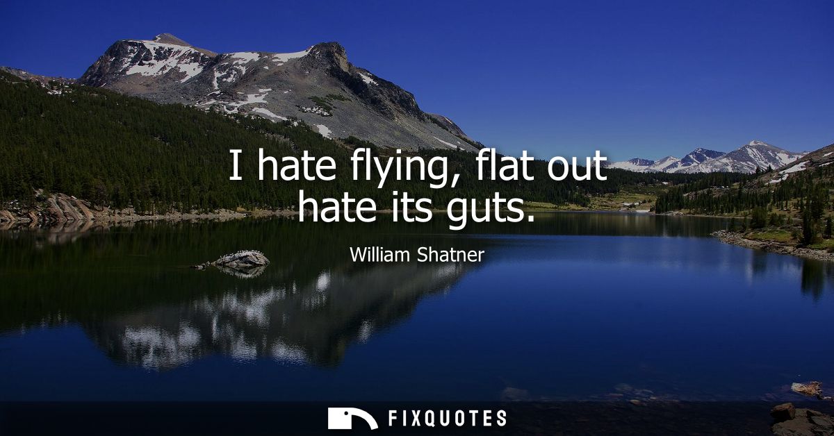 I hate flying, flat out hate its guts
