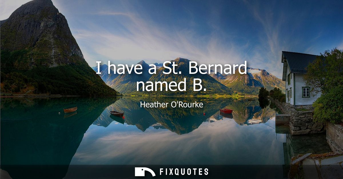 I have a St. Bernard named B