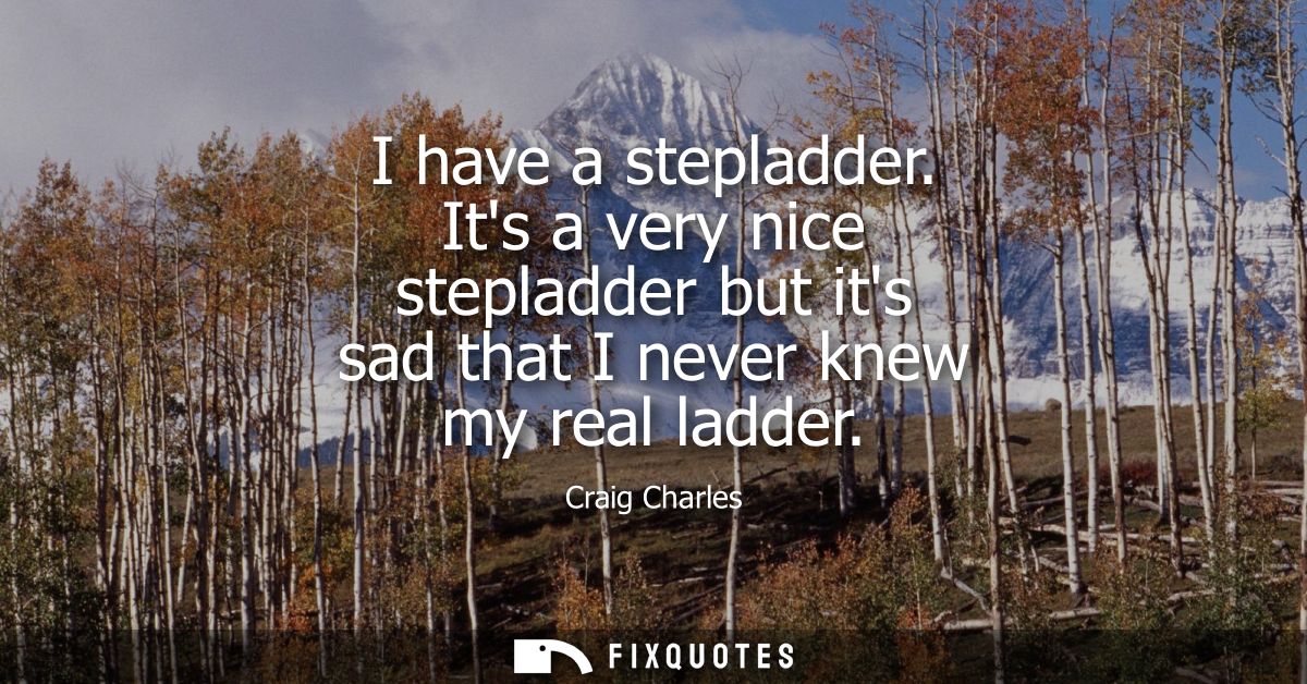 I have a stepladder. Its a very nice stepladder but its sad that I never knew my real ladder