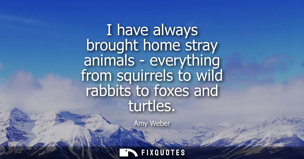 I have always brought home stray animals - everything from squirrels to wild rabbits to foxes and turtles