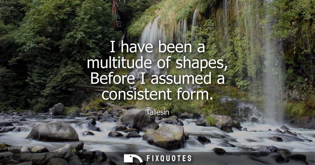 I have been a multitude of shapes, Before I assumed a consistent form