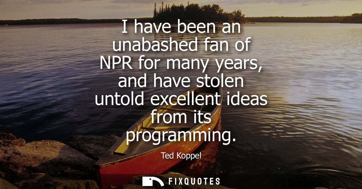 I have been an unabashed fan of NPR for many years, and have stolen untold excellent ideas from its programming