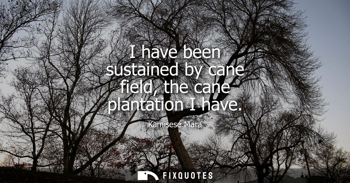 I have been sustained by cane field, the cane plantation I have