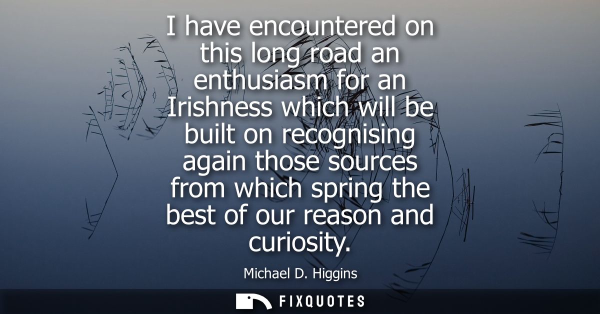 I have encountered on this long road an enthusiasm for an Irishness which will be built on recognising again those sourc