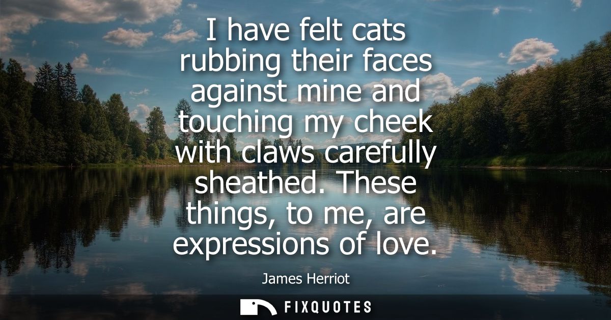 I have felt cats rubbing their faces against mine and touching my cheek with claws carefully sheathed. These things, to 