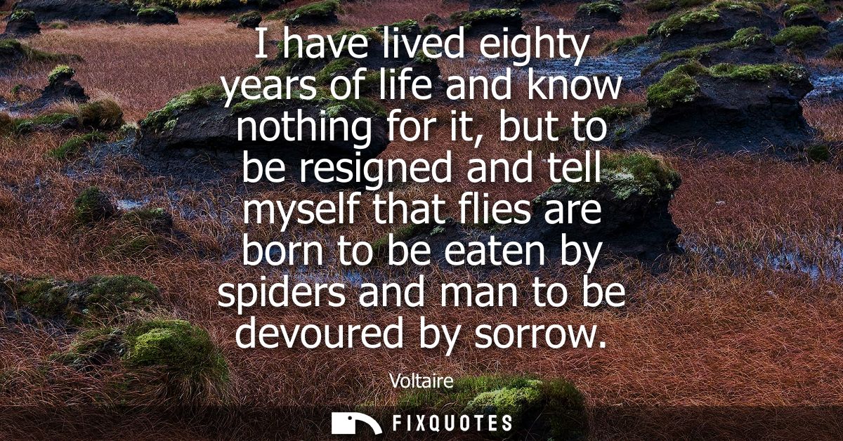 I have lived eighty years of life and know nothing for it, but to be resigned and tell myself that flies are born to be 