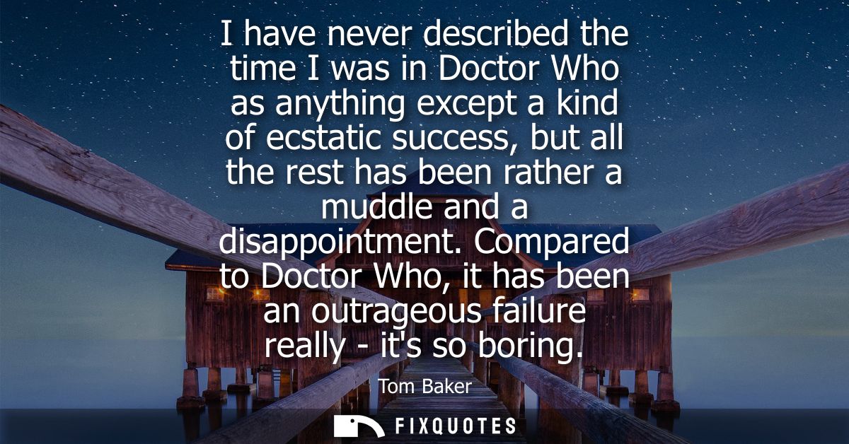 I have never described the time I was in Doctor Who as anything except a kind of ecstatic success, but all the rest has 