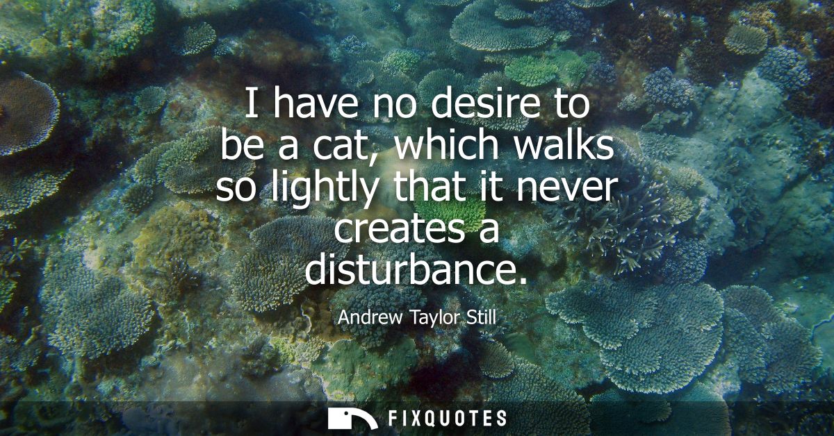 I have no desire to be a cat, which walks so lightly that it never creates a disturbance