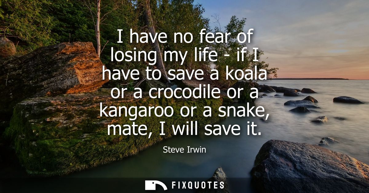 I have no fear of losing my life - if I have to save a koala or a crocodile or a kangaroo or a snake, mate, I will save 