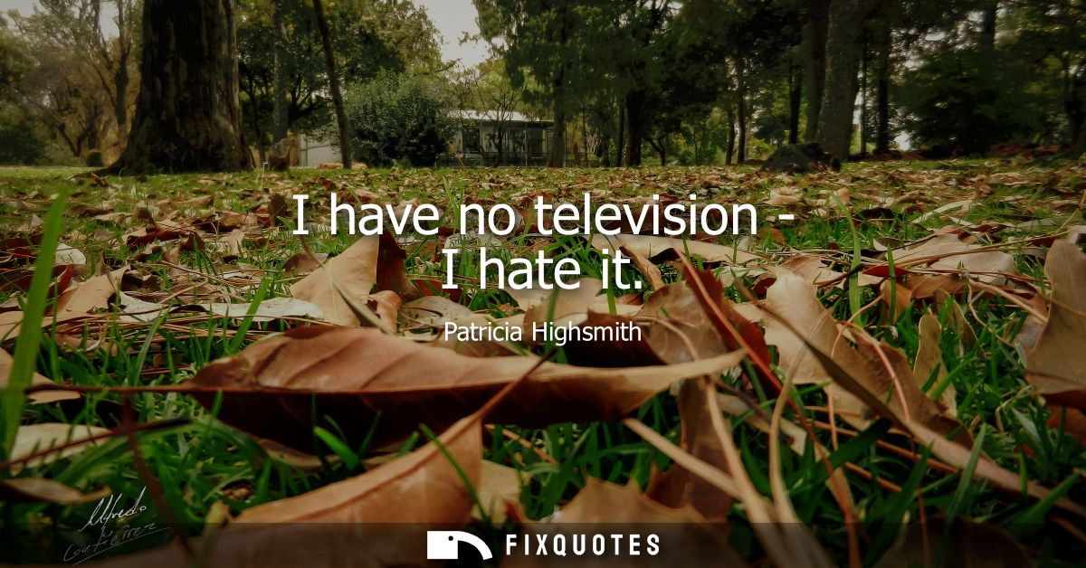 I have no television - I hate it