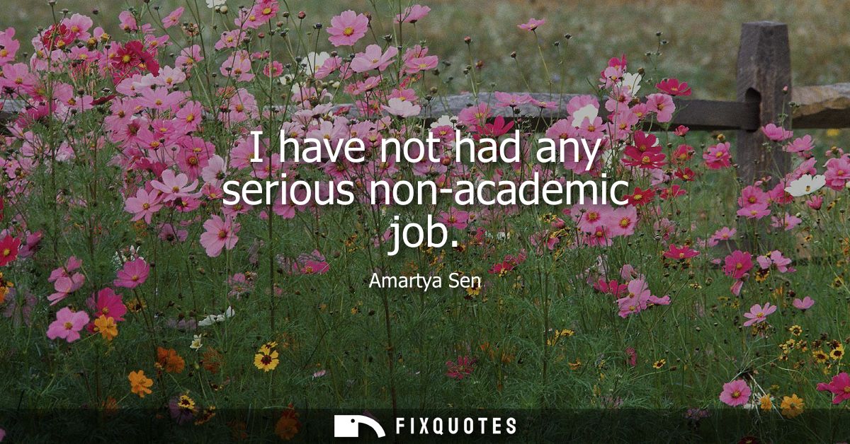 I have not had any serious non-academic job