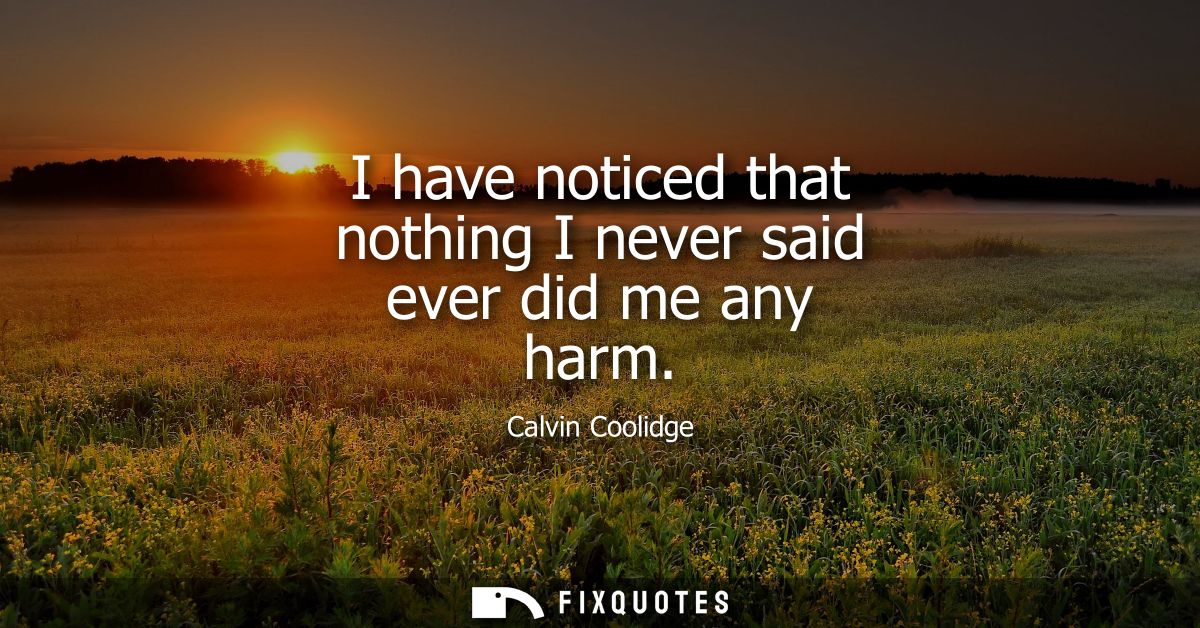 I have noticed that nothing I never said ever did me any harm