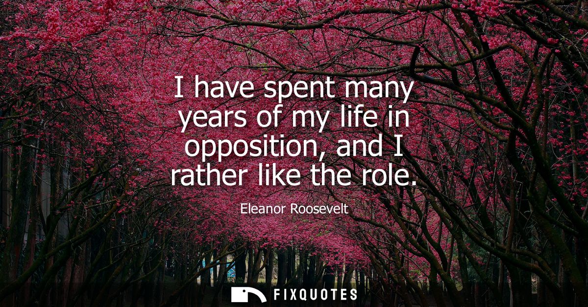I have spent many years of my life in opposition, and I rather like the role