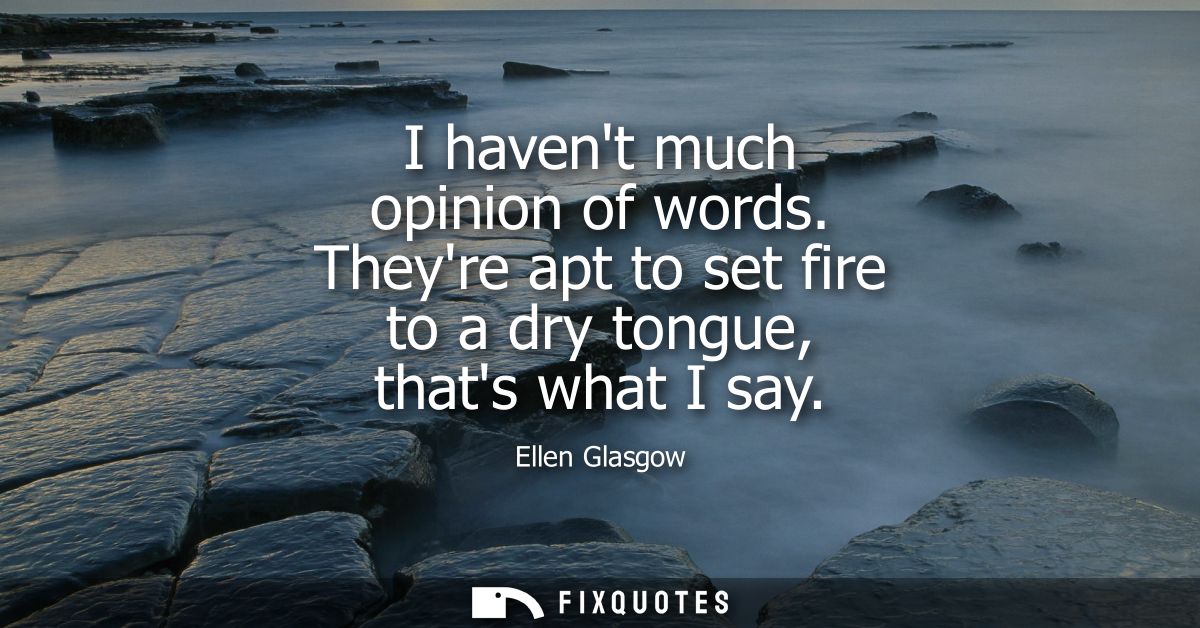 I havent much opinion of words. Theyre apt to set fire to a dry tongue, thats what I say