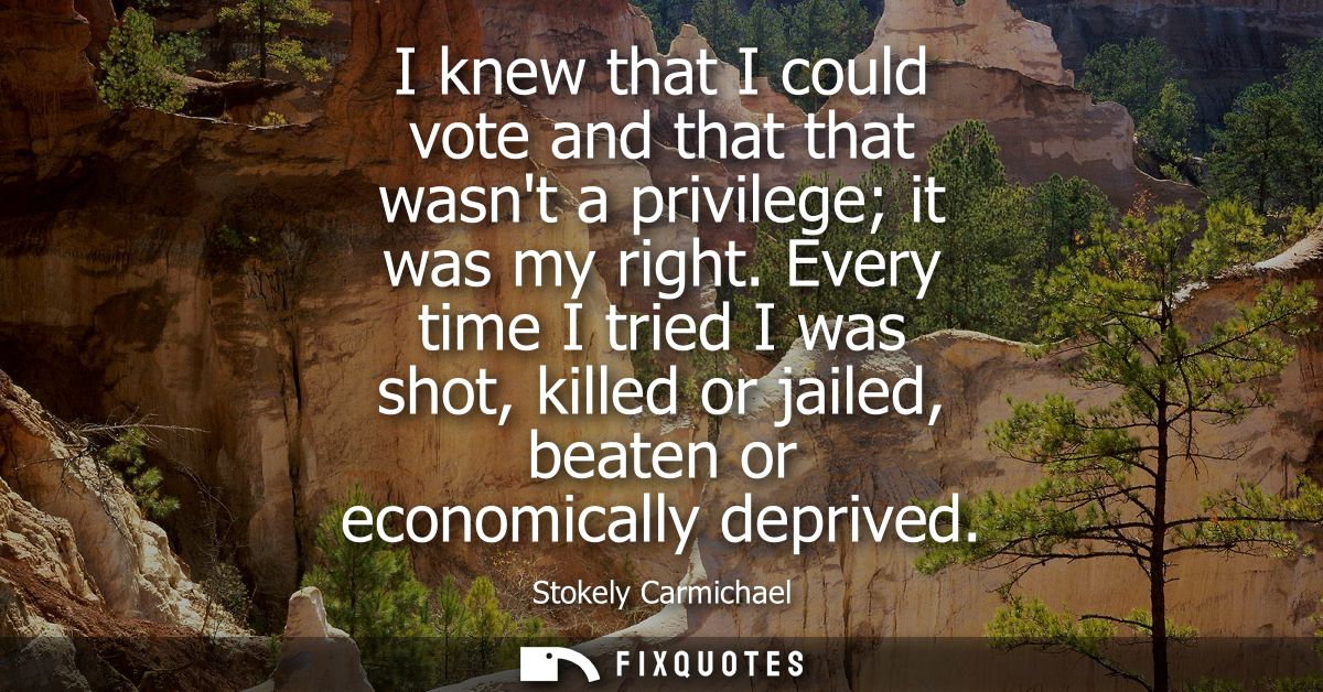 I knew that I could vote and that that wasnt a privilege it was my right. Every time I tried I was shot, killed or jaile
