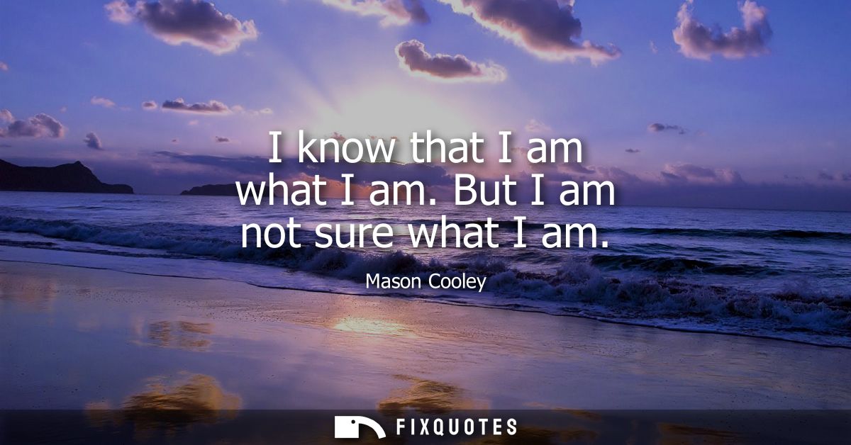 I know that I am what I am. But I am not sure what I am