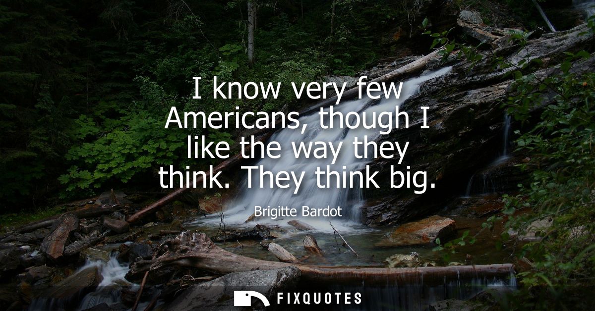 I know very few Americans, though I like the way they think. They think big