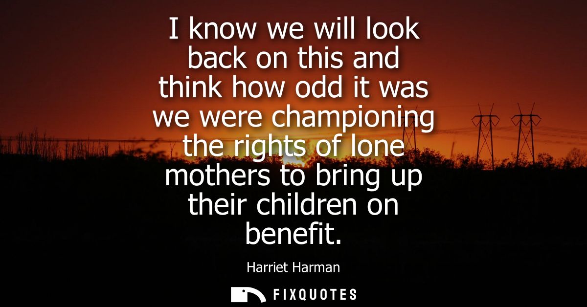 I know we will look back on this and think how odd it was we were championing the rights of lone mothers to bring up the