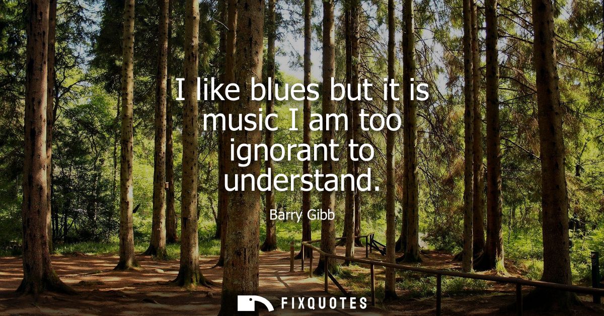 I like blues but it is music I am too ignorant to understand