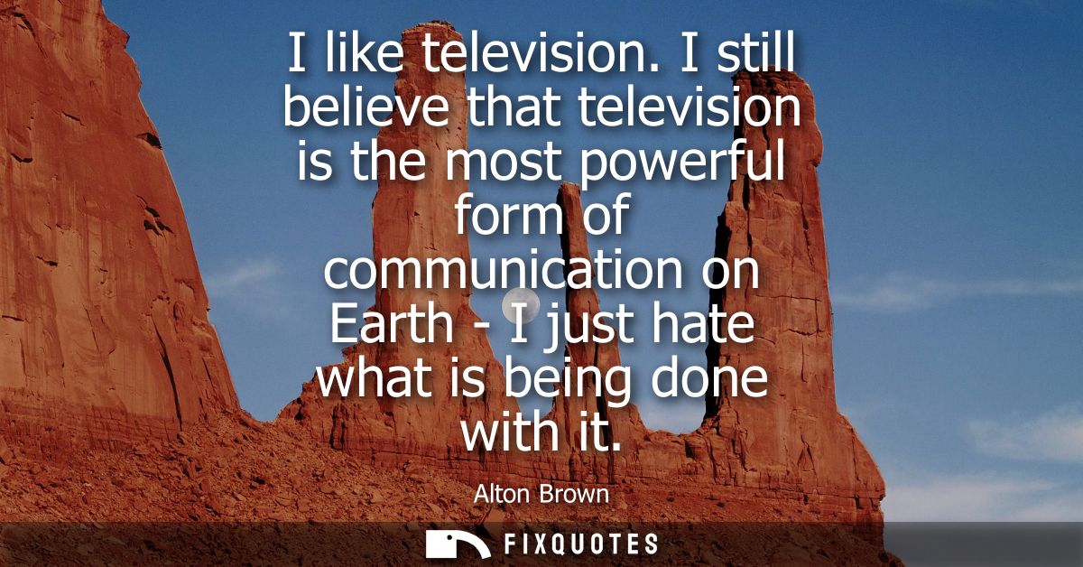 I like television. I still believe that television is the most powerful form of communication on Earth - I just hate wha