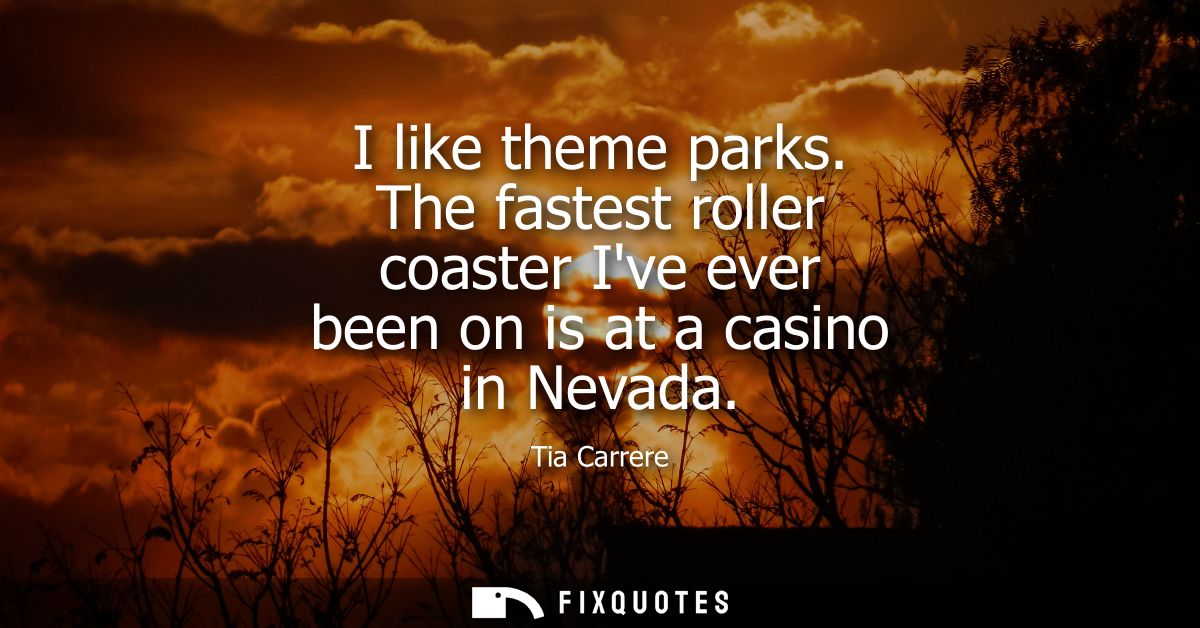 I like theme parks. The fastest roller coaster Ive ever been on is at a casino in Nevada