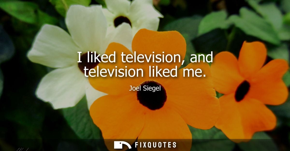 I liked television, and television liked me