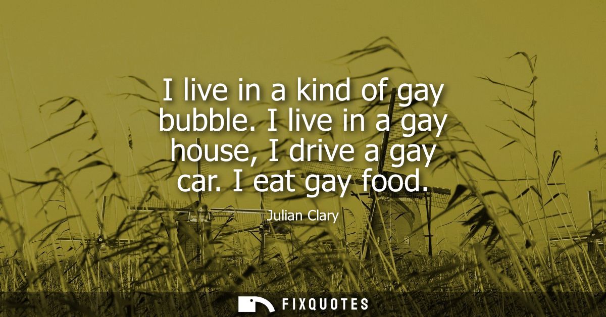 I live in a kind of gay bubble. I live in a gay house, I drive a gay car. I eat gay food