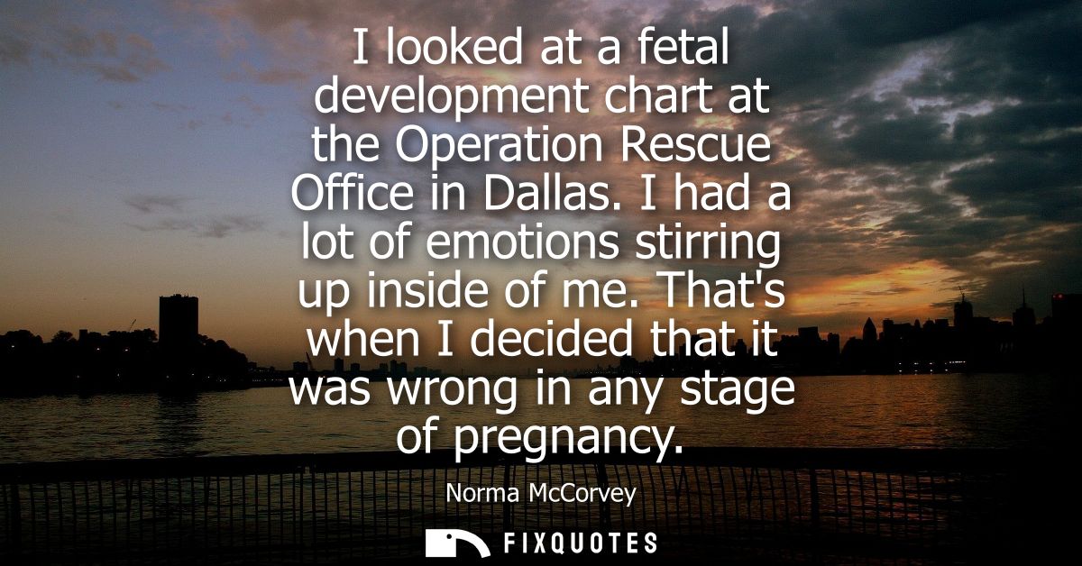 I looked at a fetal development chart at the Operation Rescue Office in Dallas. I had a lot of emotions stirring up insi