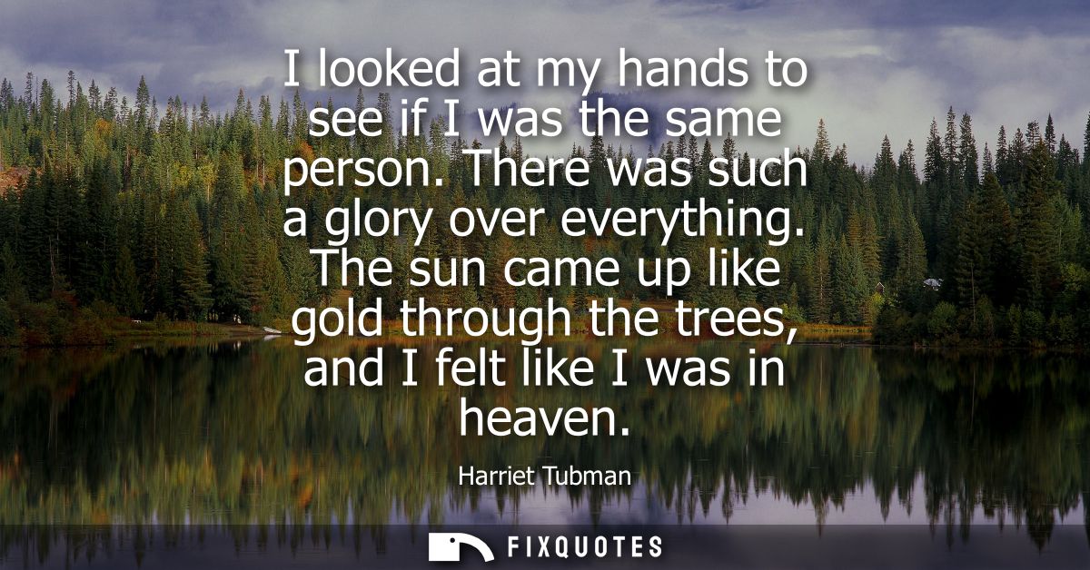 I looked at my hands to see if I was the same person. There was such a glory over everything. The sun came up like gold 