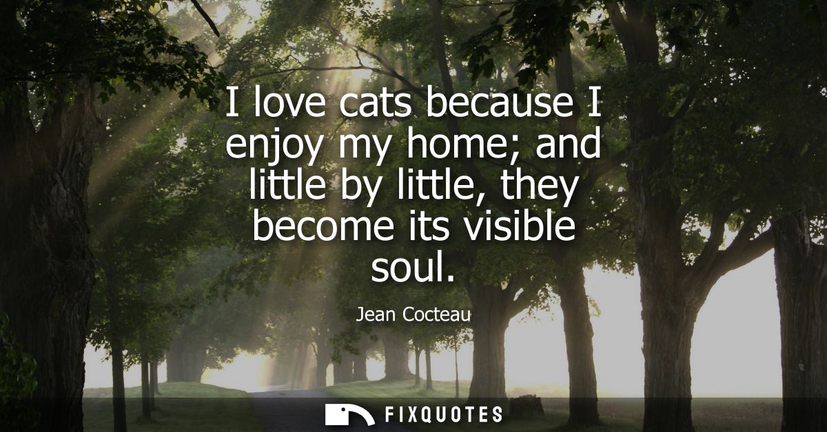 I love cats because I enjoy my home and little by little, they become its visible soul