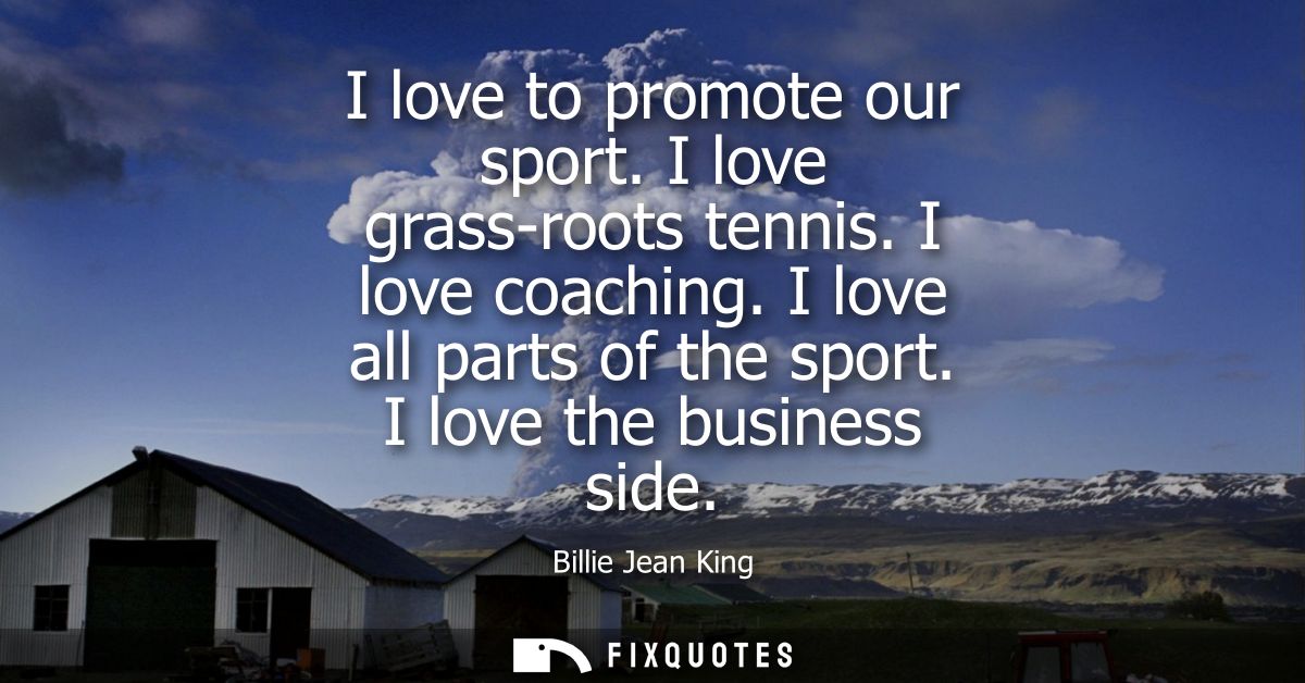 I love to promote our sport. I love grass-roots tennis. I love coaching. I love all parts of the sport. I love the busin